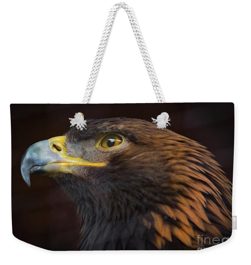 Golden Eagle Portrait Weekender Tote Bag featuring the photograph Golden Eagle Portrait by Mitch Shindelbower