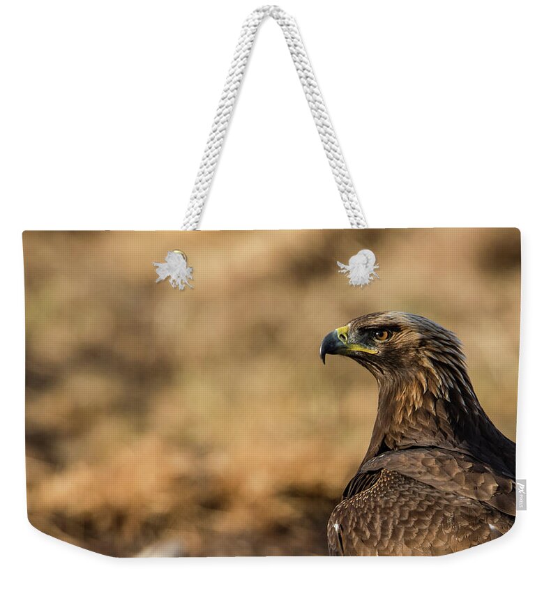 Golden Eagle Weekender Tote Bag featuring the photograph Golden Eagle by Torbjorn Swenelius