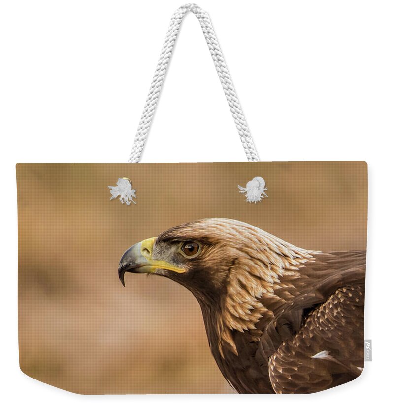 Golden Eagle Weekender Tote Bag featuring the photograph Golden Eagle's Portrait by Torbjorn Swenelius