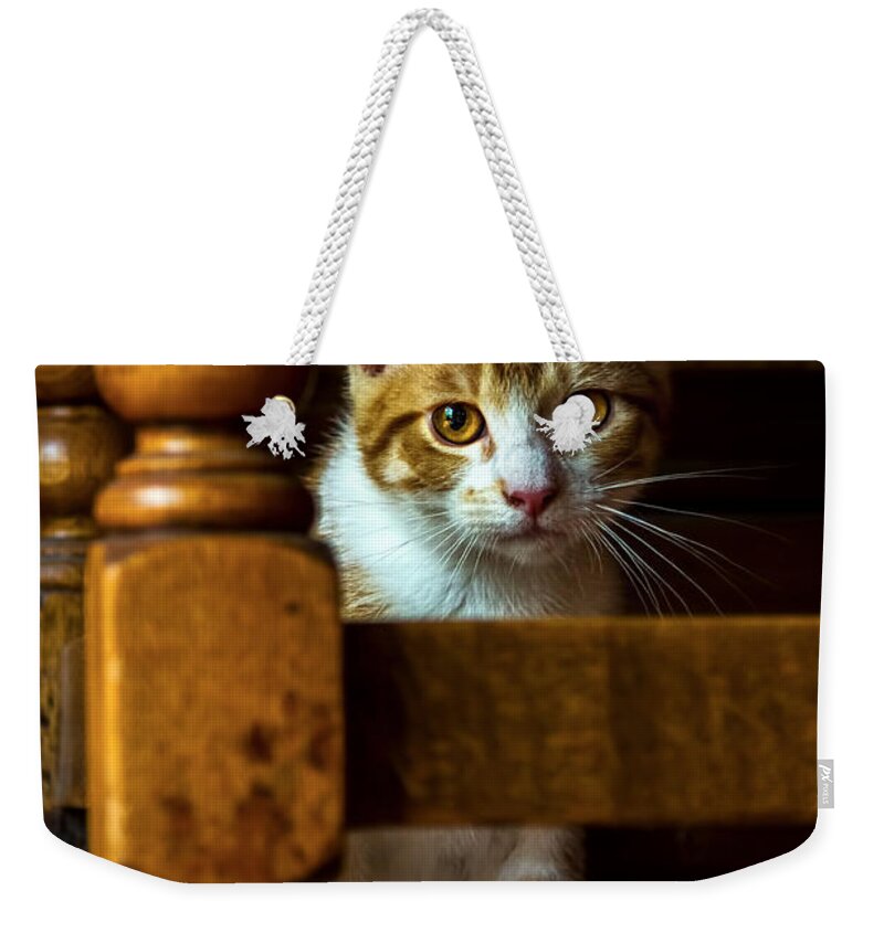 Goldeneye Weekender Tote Bag featuring the photograph Golden Eyes by Gary Holmes