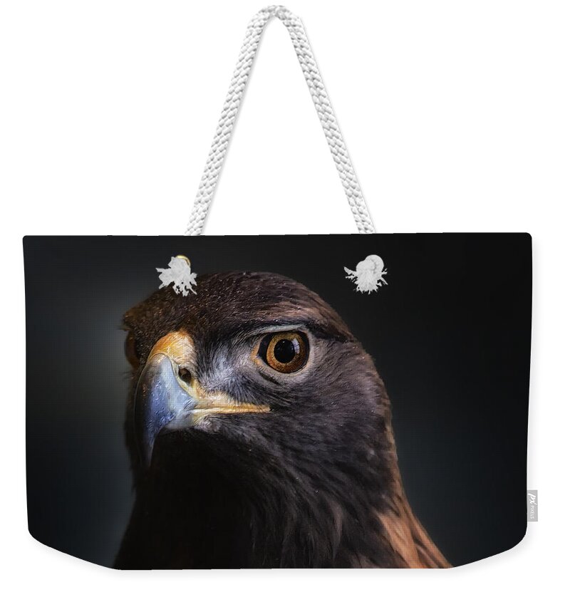 Bird Weekender Tote Bag featuring the photograph Golden Headshot by Bill and Linda Tiepelman