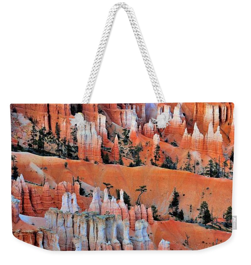 Bryce Canyon National Park Weekender Tote Bag featuring the photograph Golden Hour at Bryce Canyon 3 by Dennis Nelson