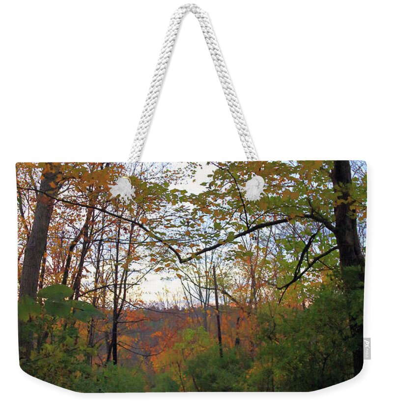 Golden Hour Of Autumn Weekender Tote Bag featuring the photograph Golden Hour of Autumn by PJQandFriends Photography
