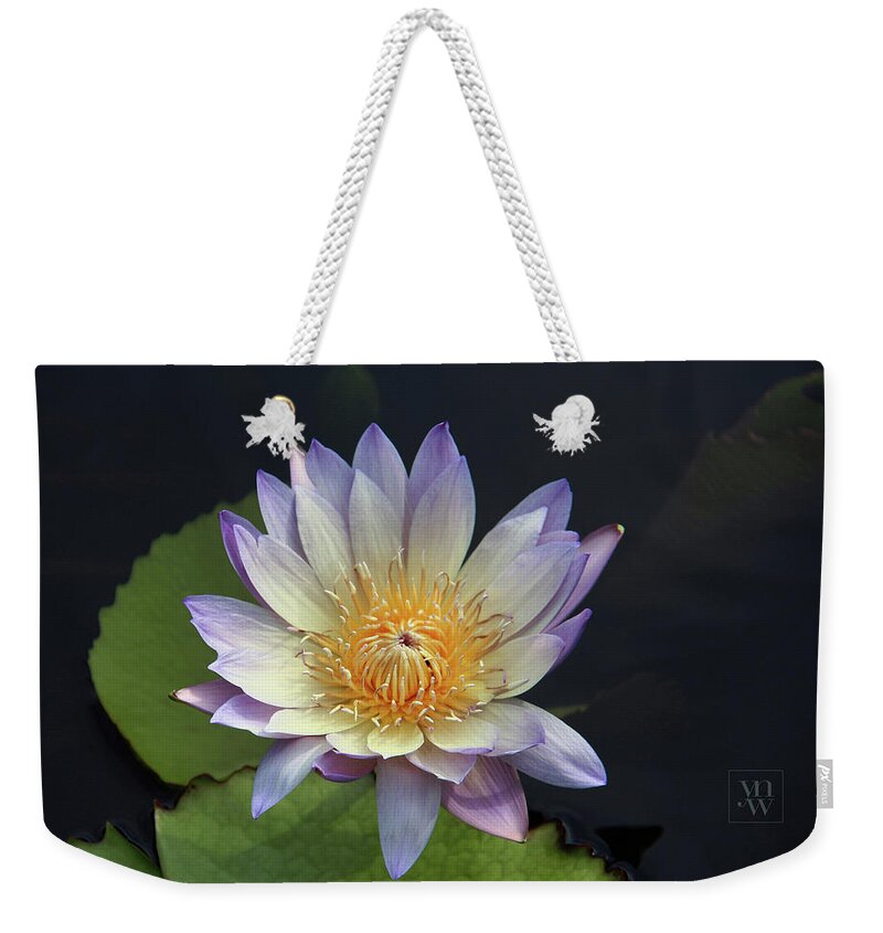 Water Lilies Weekender Tote Bag featuring the photograph Golden Hue by Yvonne Wright