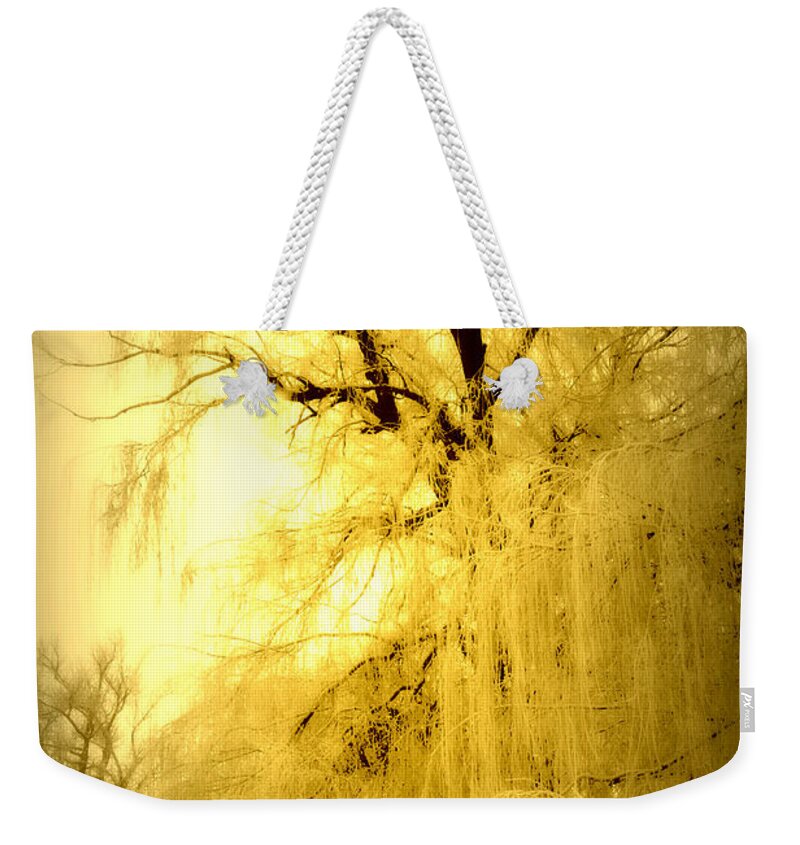 Winter Weekender Tote Bag featuring the photograph Golden by Julie Lueders 