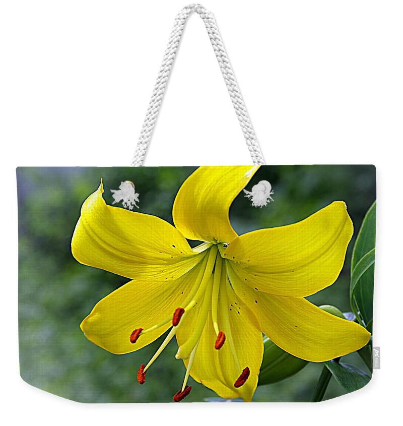 Yellow Lily Weekender Tote Bag featuring the photograph Golden Lily by Karen McKenzie McAdoo