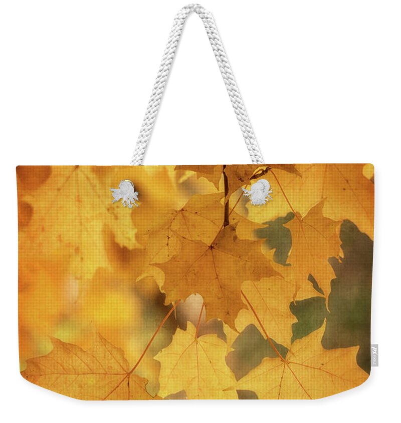 Maple Leaves Weekender Tote Bag featuring the photograph Golden Maple by Saija Lehtonen