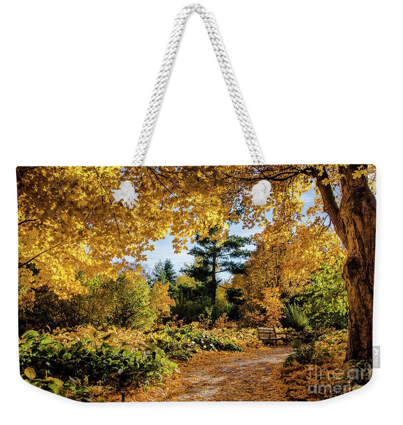 Tinas Captured Moments Weekender Tote Bag featuring the photograph Golden Moment by Tina Hailey