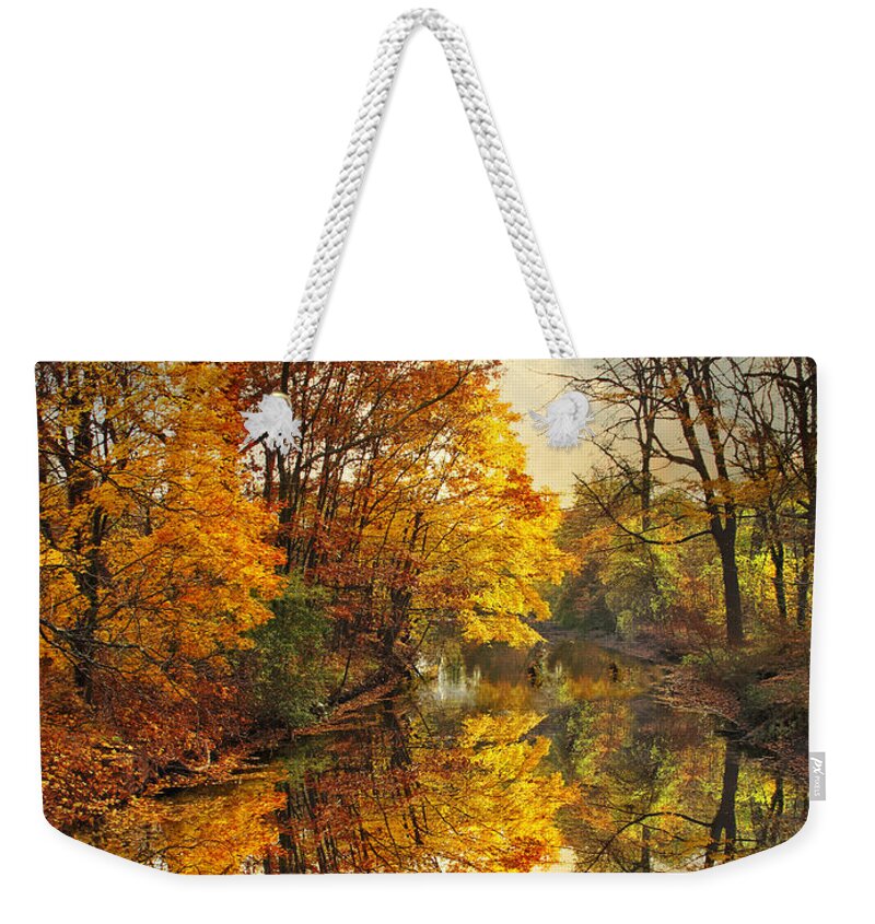 Nature Weekender Tote Bag featuring the photograph Golden Reflections by Jessica Jenney