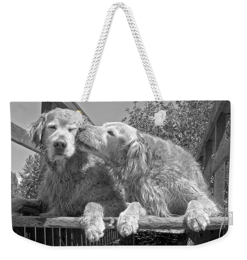 Golden Retriever Weekender Tote Bag featuring the photograph Golden Retrievers the Kiss Black and White by Jennie Marie Schell