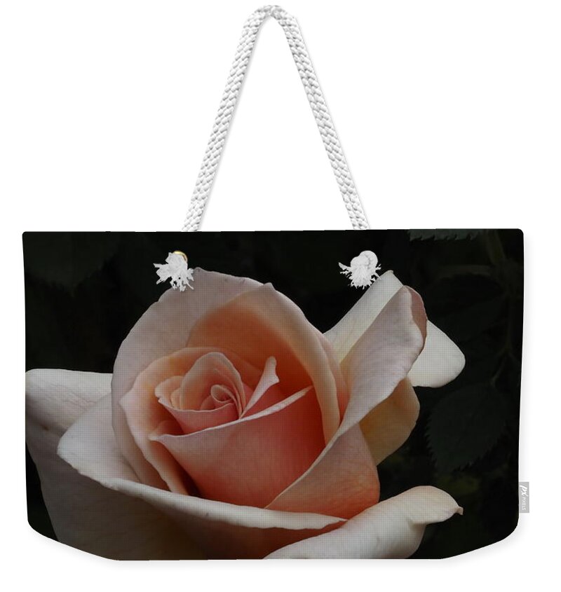 Botanical Weekender Tote Bag featuring the photograph Golden Rose by Richard Thomas