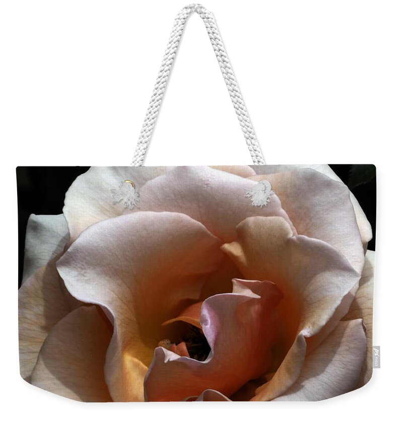 Botanical Weekender Tote Bag featuring the photograph Golden Rose Unfurled by Richard Thomas