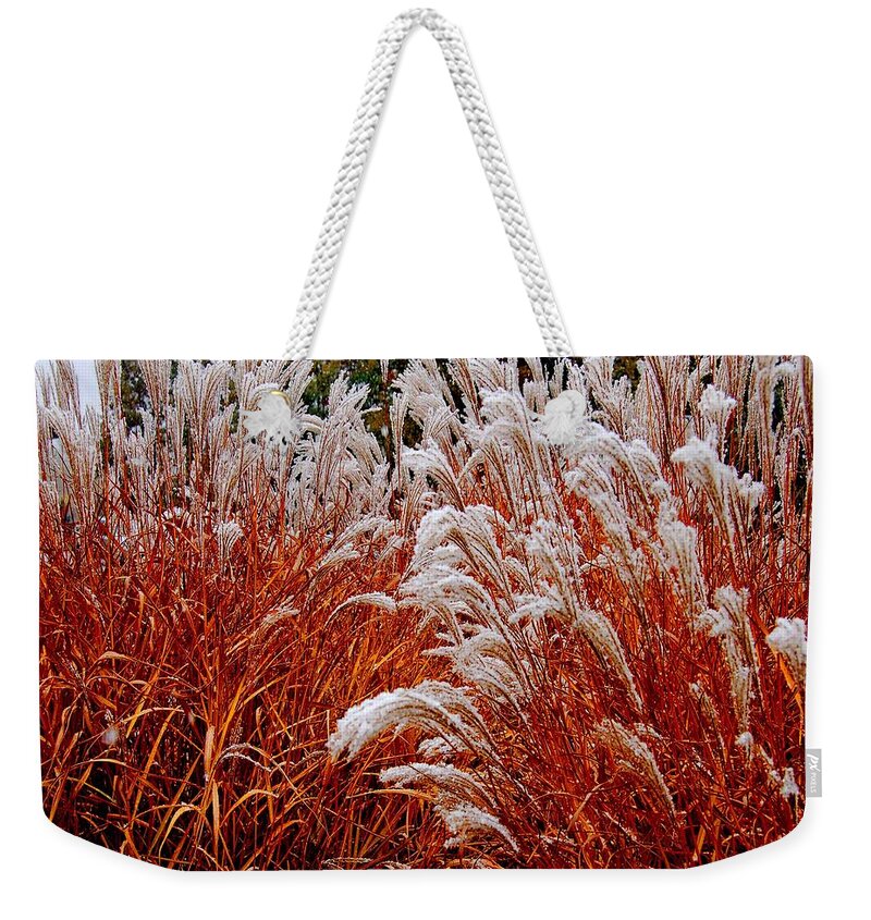 Flowers Weekender Tote Bag featuring the photograph Golden Snow by Michael Thomas