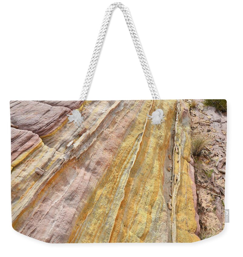 Valley Of Fire State Park Weekender Tote Bag featuring the photograph Golden Stripes in Valley of Fire by Ray Mathis