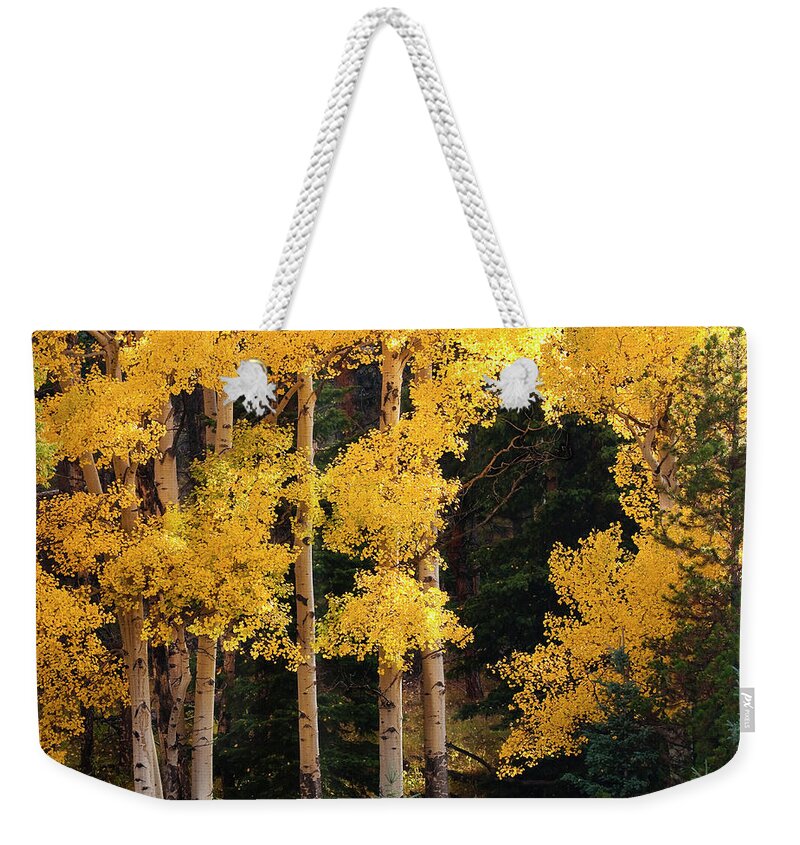  Weekender Tote Bag featuring the photograph Golden Sun by Bon and Jim Fillpot