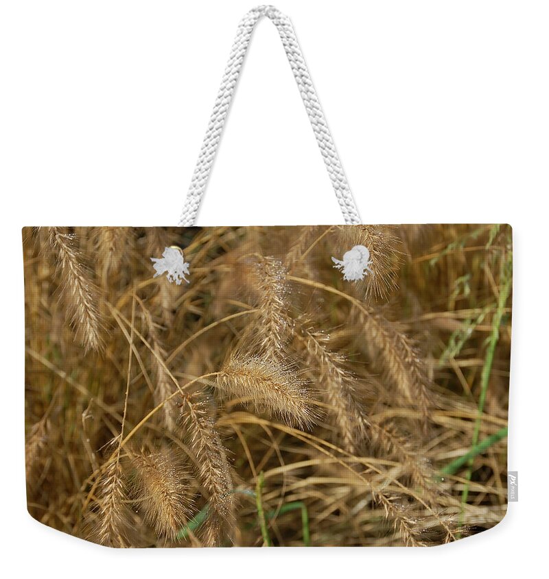Wheat Weekender Tote Bag featuring the photograph Golden Wheat by Aimee L Maher ALM GALLERY