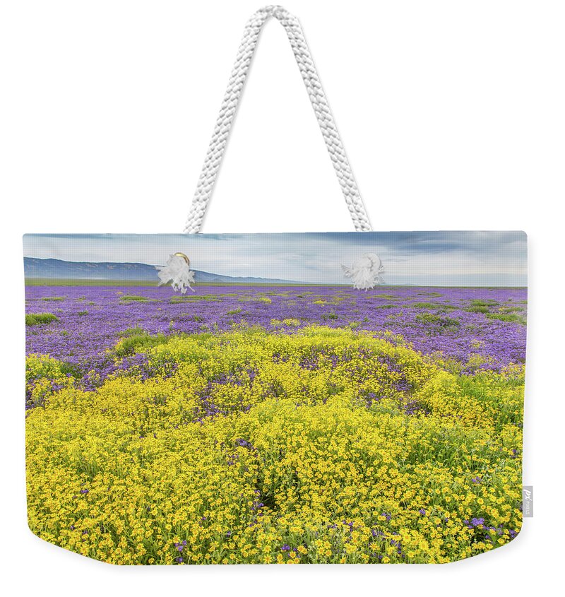 California Weekender Tote Bag featuring the photograph Goldfield and Phacelia by Marc Crumpler