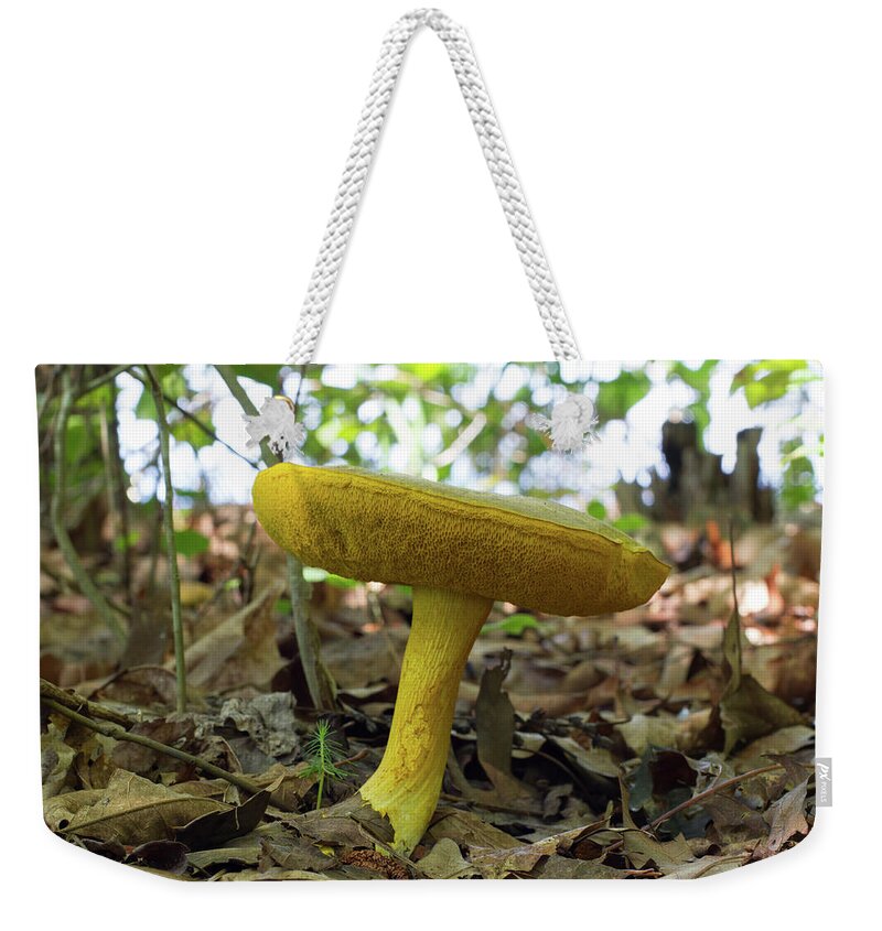 Mushroom Weekender Tote Bag featuring the photograph Goldstalk Mushroom by Paul Rebmann
