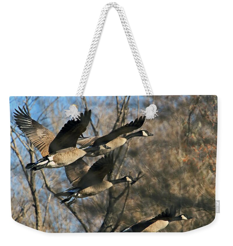 Canada Goose Weekender Tote Bag featuring the photograph Gone With the Wings by Donna Kennedy