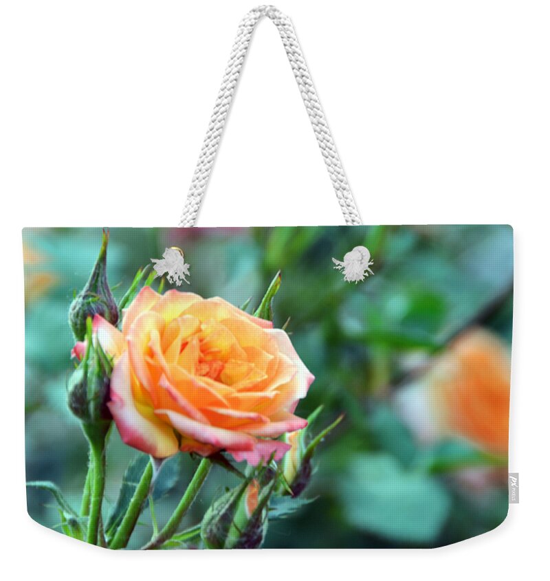 Small Weekender Tote Bag featuring the photograph Good Things Come In Small Packages by Angelina Tamez