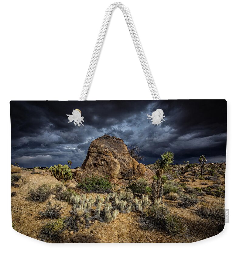 Agave Weekender Tote Bag featuring the photograph Good vs Evil by Peter Tellone