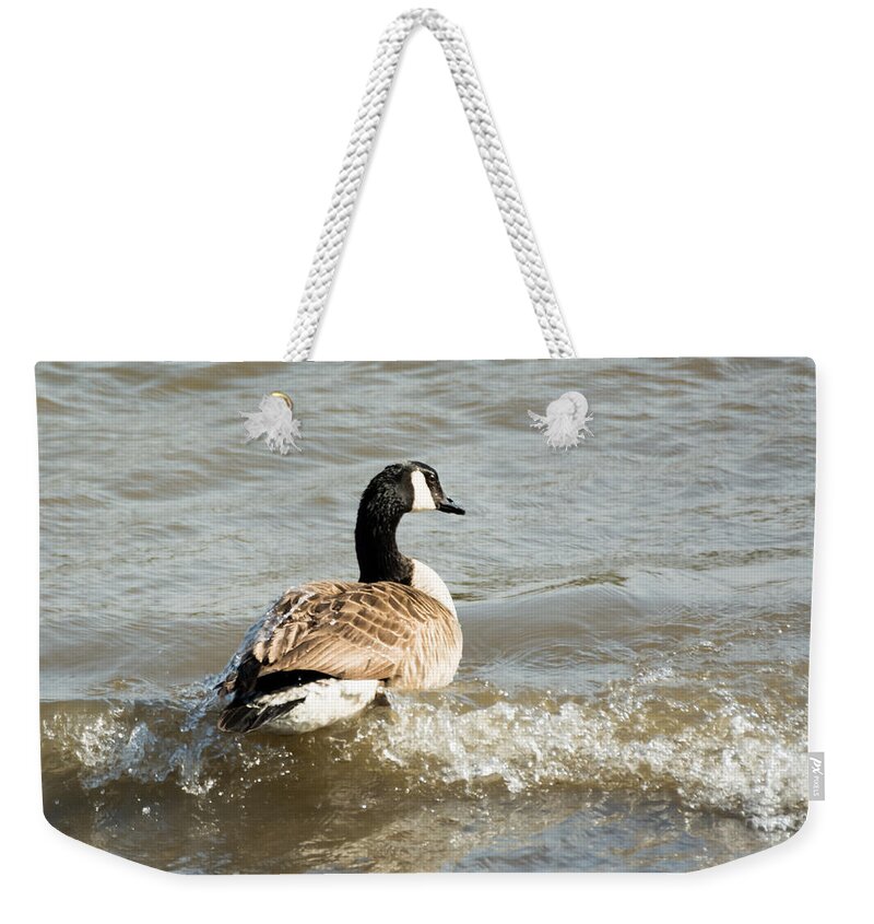 Goose Weekender Tote Bag featuring the photograph Goose Rides A Wave by Holden The Moment