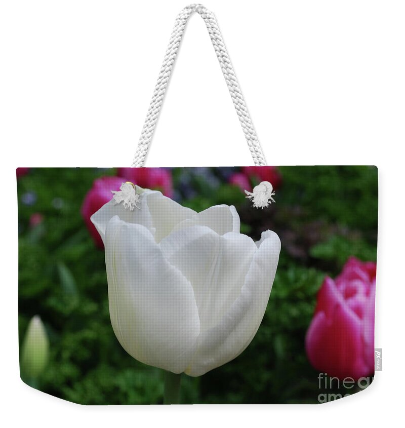 Tulip Weekender Tote Bag featuring the photograph Gorgeous Flowering White Tulip Flower Blossom by DejaVu Designs
