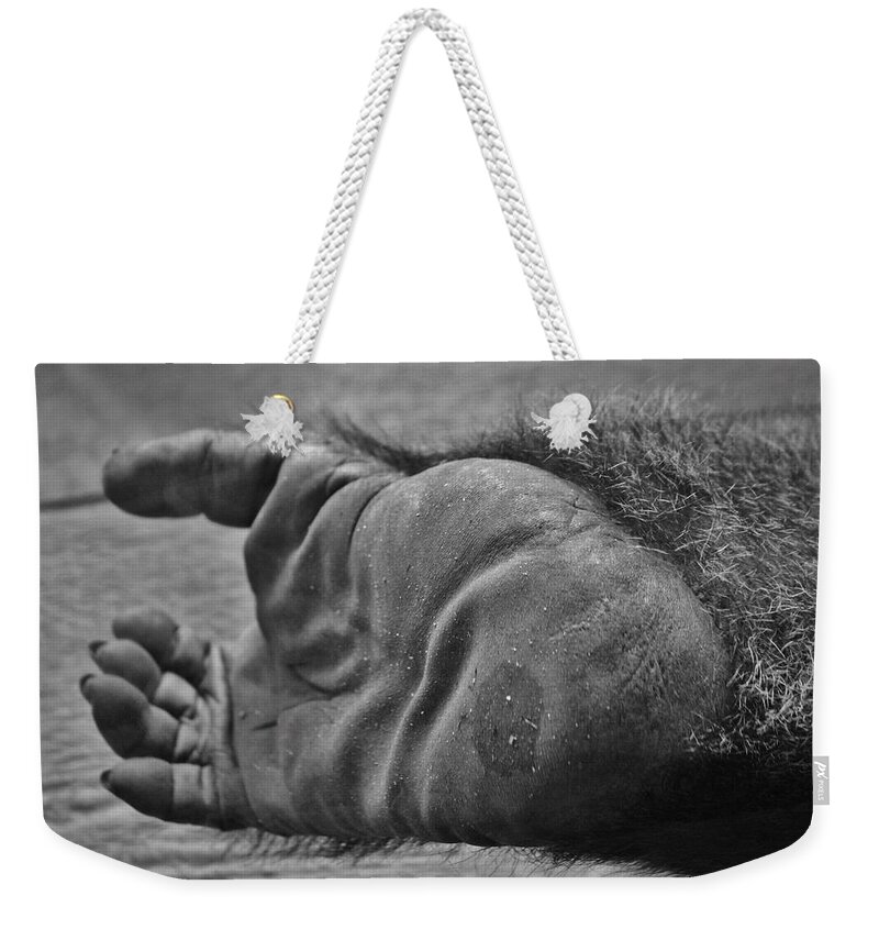 Africa Weekender Tote Bag featuring the photograph Gorilla Foot by Cynthia Guinn