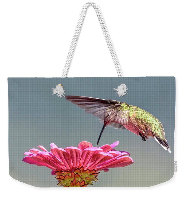 Gossamer Wings Weekender Tote Bag featuring the photograph Gossamer Wings by Wes and Dotty Weber