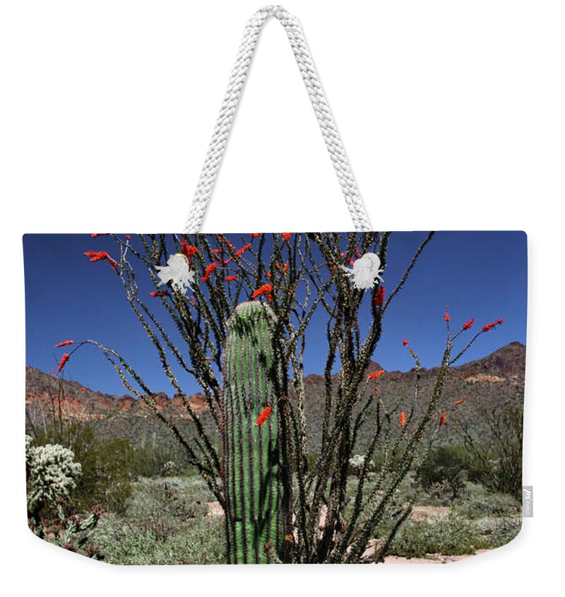 Arizona Weekender Tote Bag featuring the photograph Grace and Strength by Hans Brakob