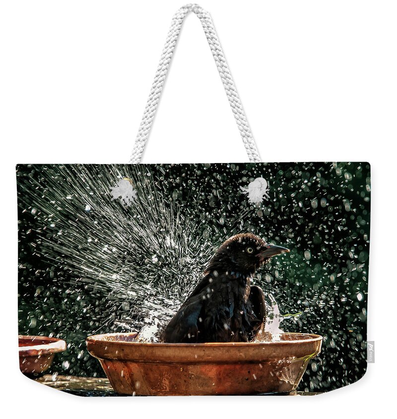 Grackle Weekender Tote Bag featuring the photograph Grack Bath Flower Pot by Jim Moore
