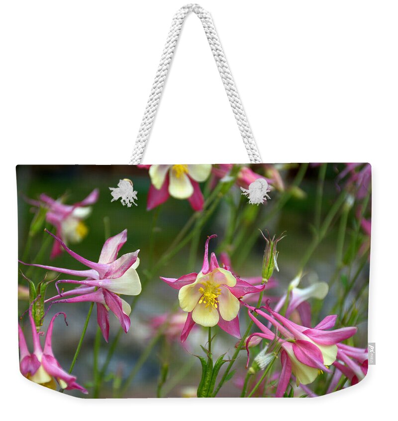 Grand Weekender Tote Bag featuring the photograph Grand Lake Floral Study 6 by Robert Meyers-Lussier