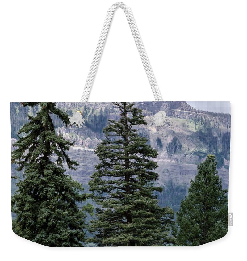 Trees Weekender Tote Bag featuring the photograph Grand Mesa Forest by Jaime Mercado