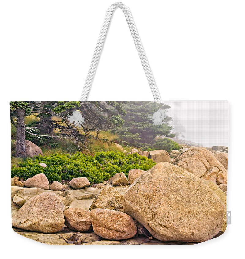 Rock Weekender Tote Bag featuring the photograph Granite Boulders Acadia by Peter J Sucy