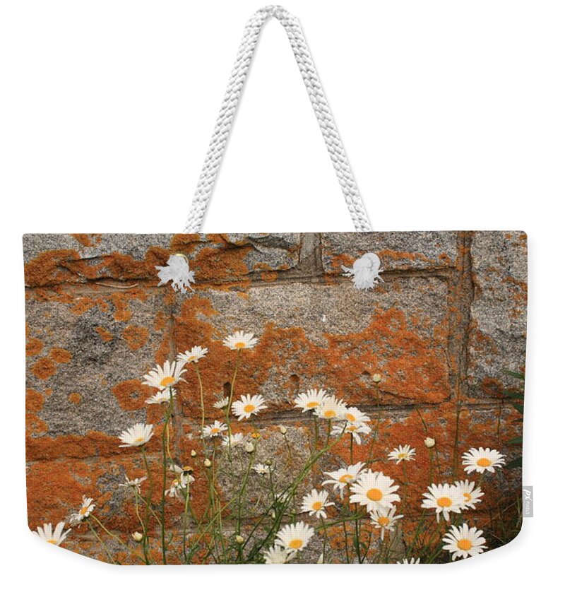 Landscape Weekender Tote Bag featuring the photograph Granite Daisies by Doug Mills