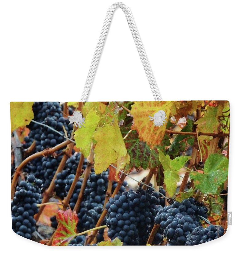 Grapes Weekender Tote Bag featuring the photograph Grapes by Jackie Russo