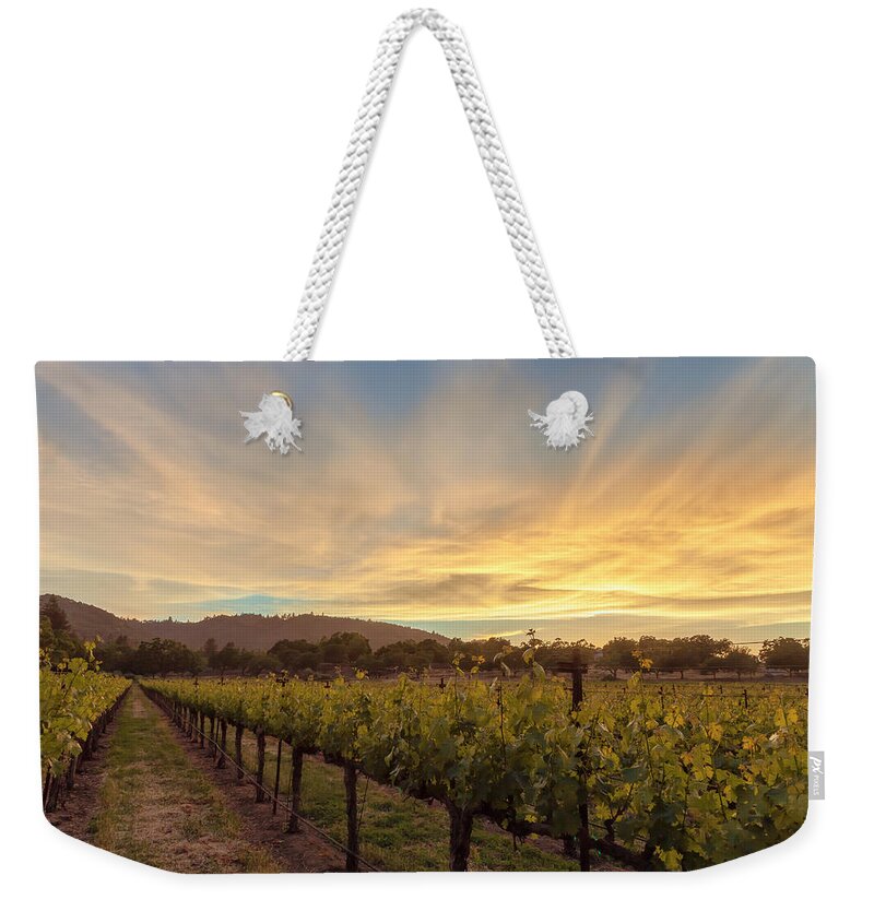 Nature Weekender Tote Bag featuring the photograph Grapevines and The Sunset by Jonathan Nguyen