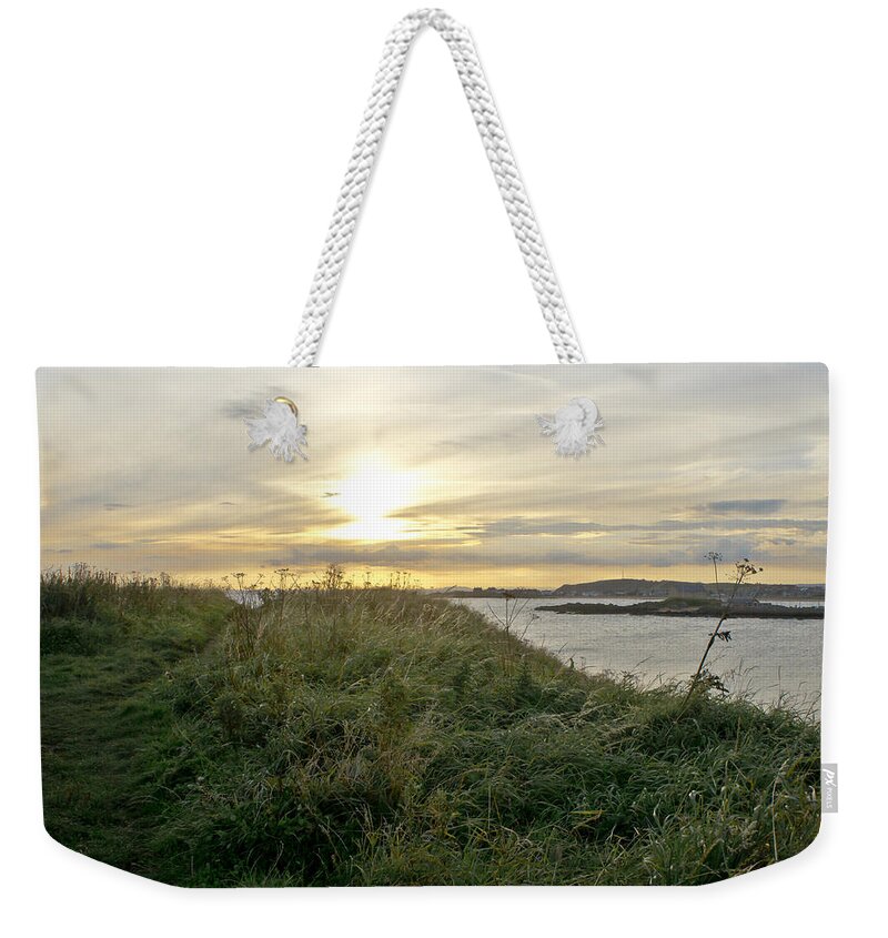 Setting Sun Weekender Tote Bag featuring the photograph Grass vs Stems by Elena Perelman