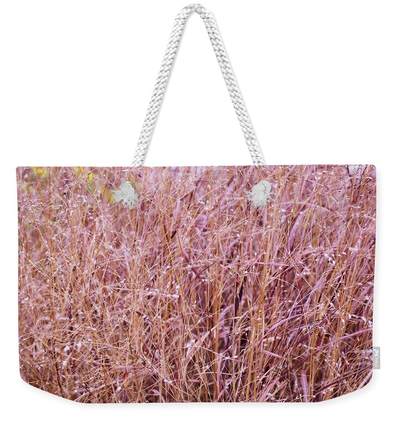 Grass Weekender Tote Bag featuring the photograph Grasses on the High Line No. 1 by Sandy Taylor