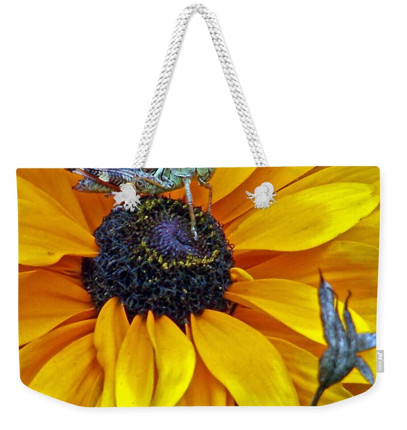Insects Weekender Tote Bag featuring the photograph Grasshopper and Susan by Jennifer Robin