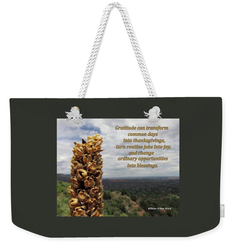 Gratitude Weekender Tote Bag featuring the digital art Gratitude Can Transform Days by Julia L Wright