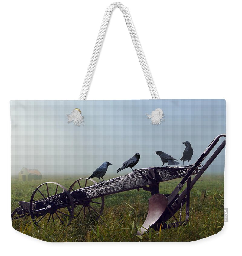 Birds Weekender Tote Bag featuring the digital art Gratitude Of The Crows by M Spadecaller