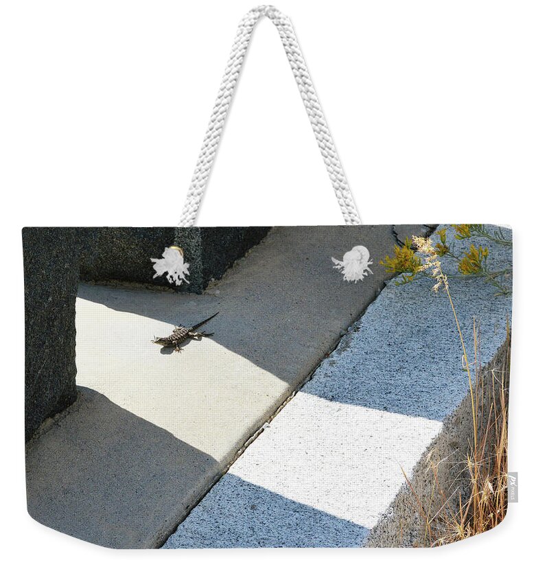 Virginia City Weekender Tote Bag featuring the photograph Graveyard Lizard Sunbathing by Brent Dolliver