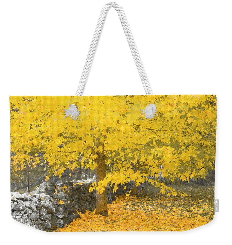 Fall. Maine Weekender Tote Bag featuring the photograph Gravitational Inevitability by Jeff Cooper