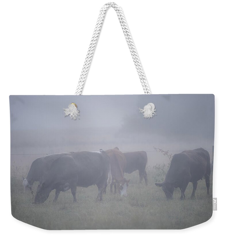 Cows Weekender Tote Bag featuring the photograph Grazing cows in the mist by Torbjorn Swenelius