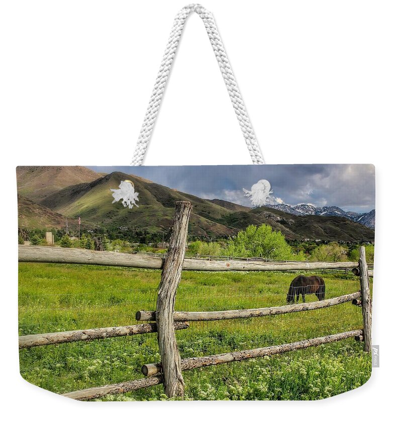 Horse Weekender Tote Bag featuring the photograph Grazing in The Meadow by Buck Buchanan