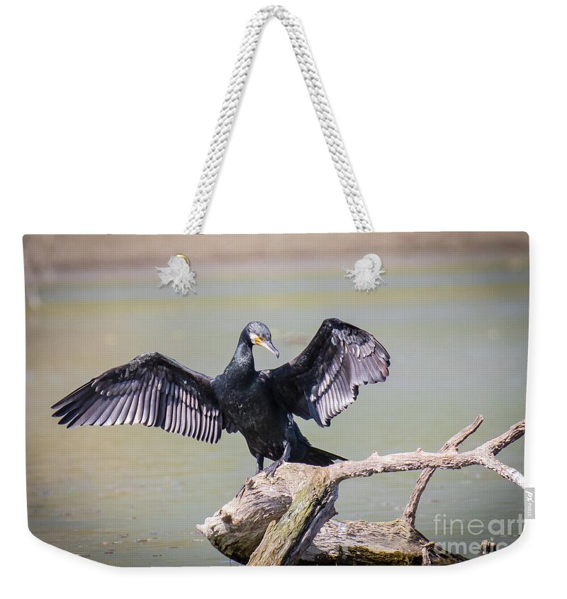 Animalia Weekender Tote Bag featuring the photograph Great black cormorant drying wings after fishing #1 by Jivko Nakev