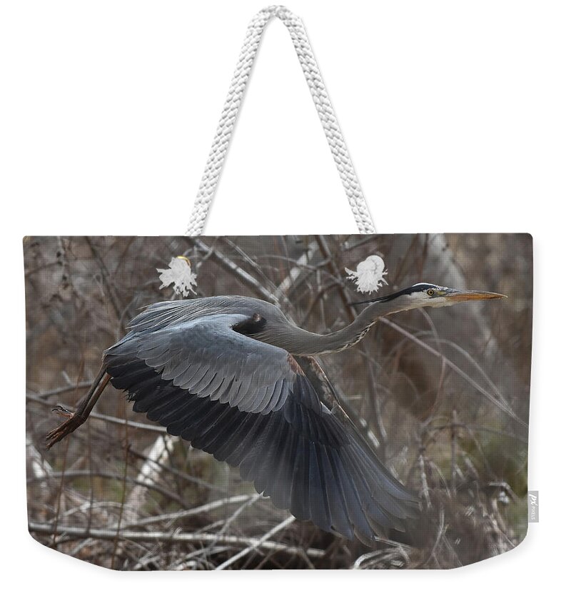 Heron Weekender Tote Bag featuring the photograph Great Blue Getaway by Ben Foster