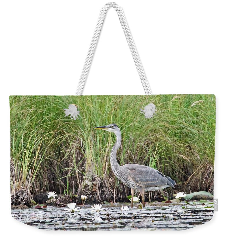 Great Weekender Tote Bag featuring the photograph Great Blue Heron 6209 by Michael Peychich