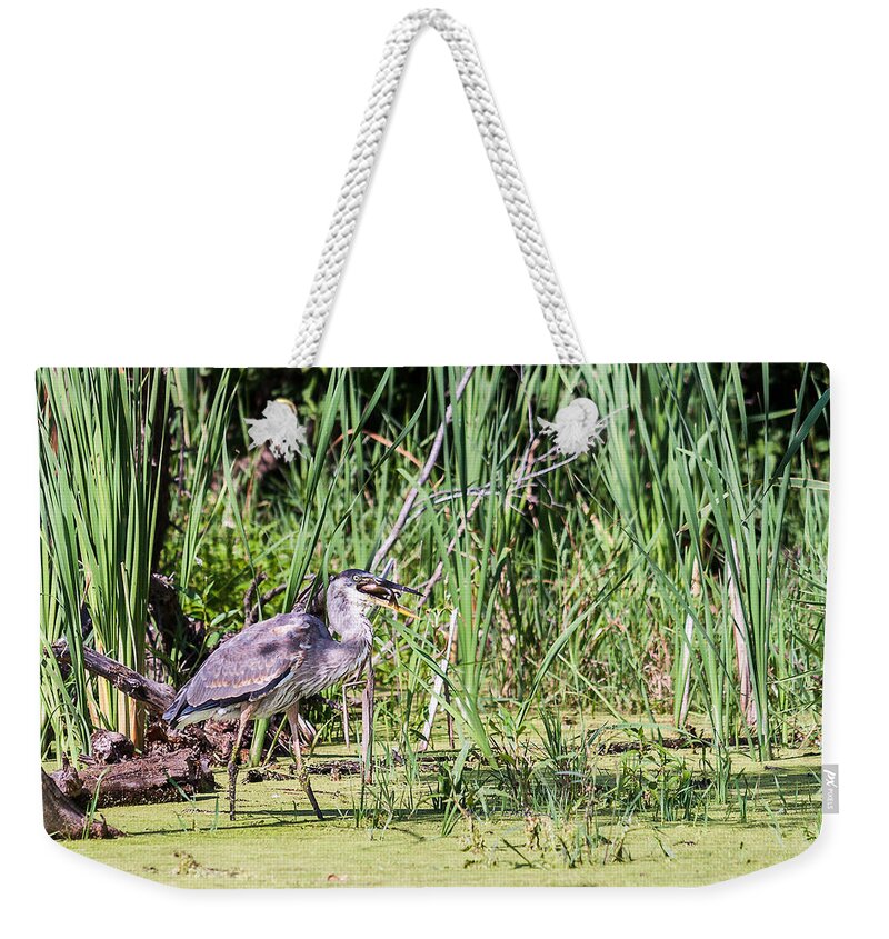 Great Blue Heron Weekender Tote Bag featuring the photograph Great Blue Heron and Blue Gill by Ed Peterson